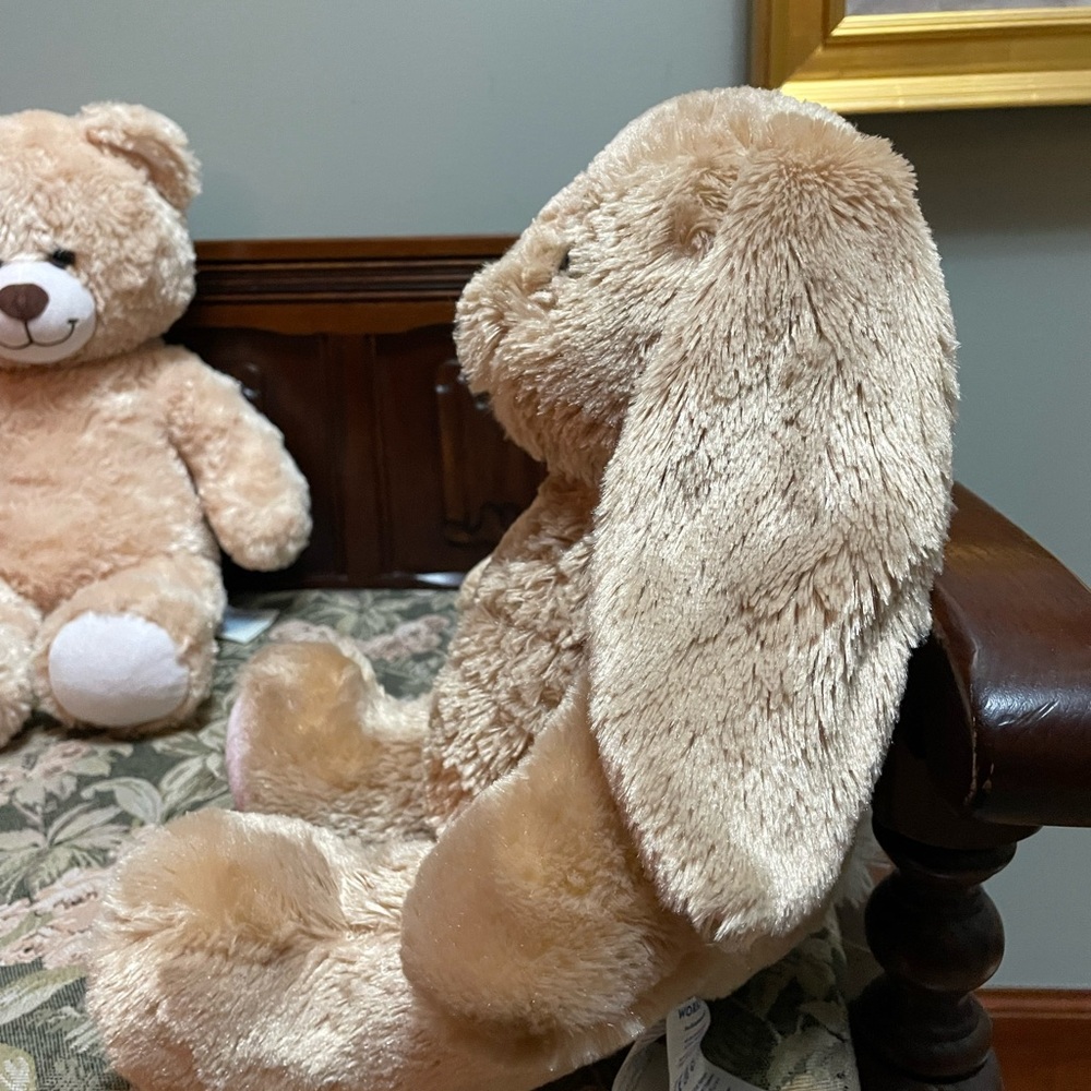 Build-A-Bear rabbit and bear set. - Picture 6 of 13